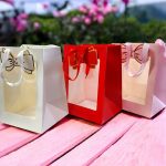 Bolsa de Regalo Moño con Ventana Colores Pasteles Tamaño Chico