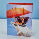 Bolsa de Regalo Chica Perro con Gafas de Sol el 3D 18x23x10