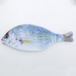 Estuche de pez oxford tejido de punto