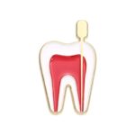 Pin Metálico Endodoncia Diente - Broche Clínico Odontología Dentista