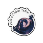 Pin Metálico Mapache Pedro Broche Meme Viral Bailando Cute